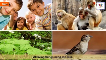 The Sun, Moon And Stars