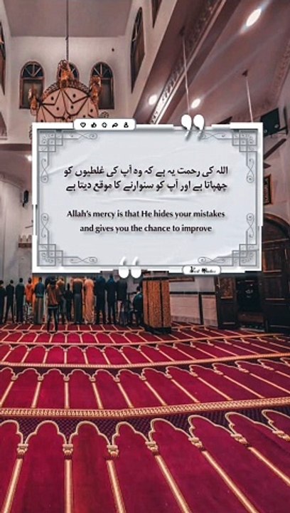 Best Quotes