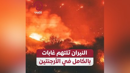 النيران تلتهم غابات بالكامل في الأرجنتين