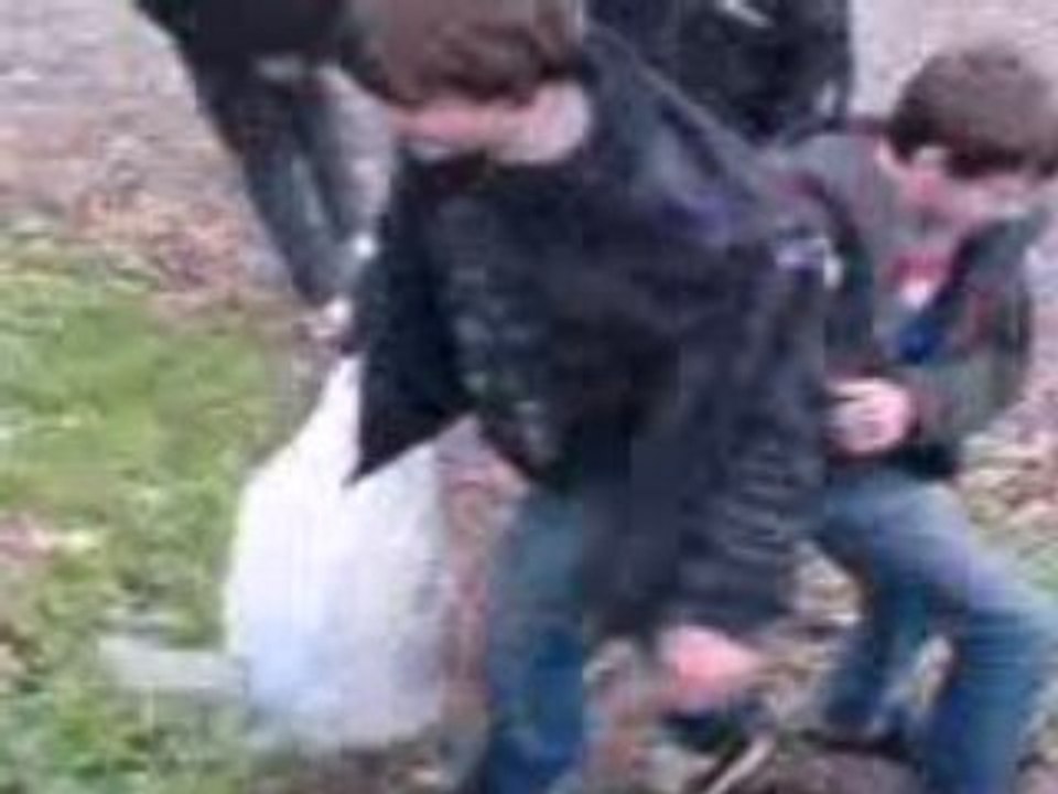 MOV00043
