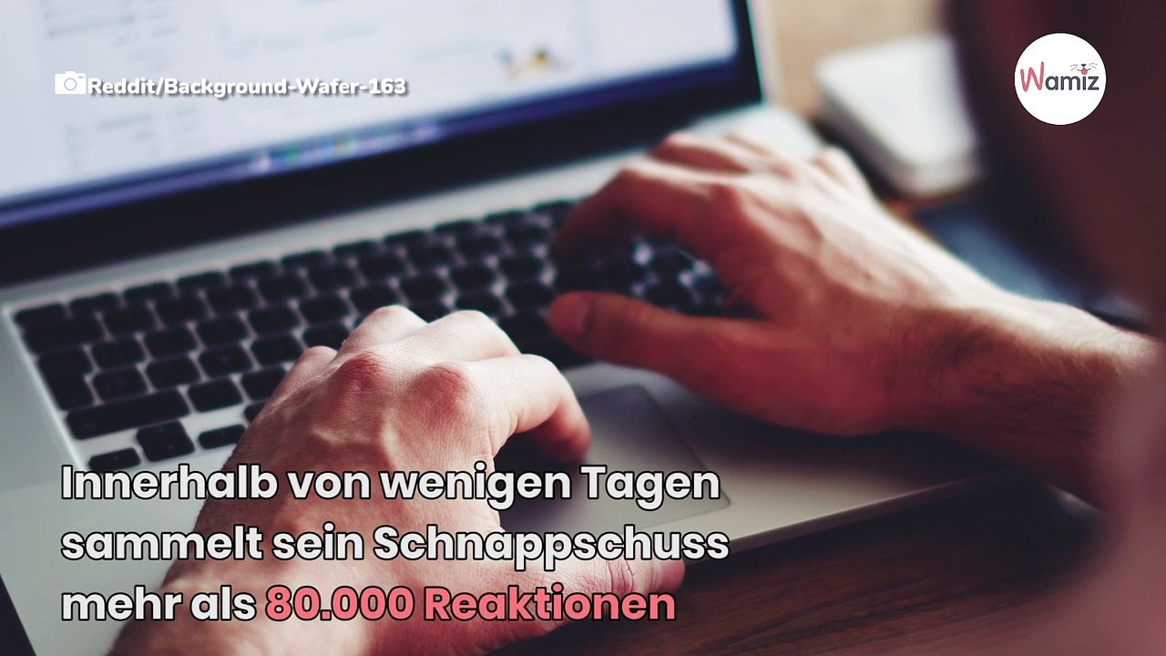 Nach Zahnarzt-Besuch: Gesicht von roter Katze sorgt für Gelächter