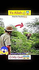 MashAllah ☝ Greatest Save 