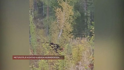 Se encuentra cara a cara con un oso en el bosque y grita una frase legendaria entre cazadores
