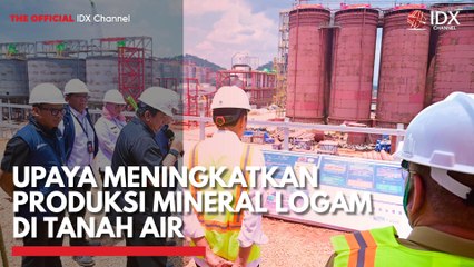 Upaya Meningkatkan Produksi Mineral Logam di Tanah Air