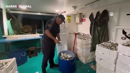 Sahil Güvenlik ekiplerinden balıkçılara denetim: Limitin altında avcılığa 66 bin lira ceza