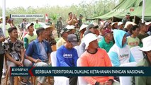 Tanam Padi dan Jagung 500 Hektare: Upaya TNI Dukung Ketahanan Pangan Nasional