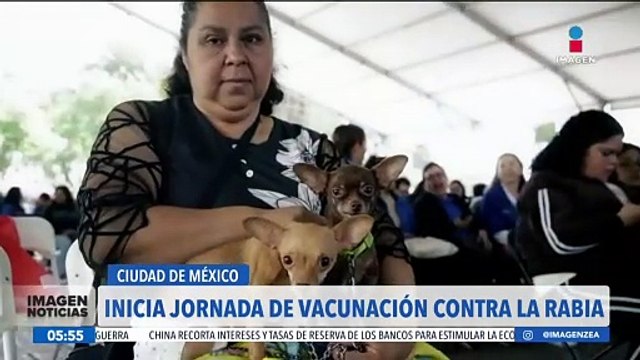 Inicia la jornada de vacunación contra la rabia para perros y gatos en la CDMX
