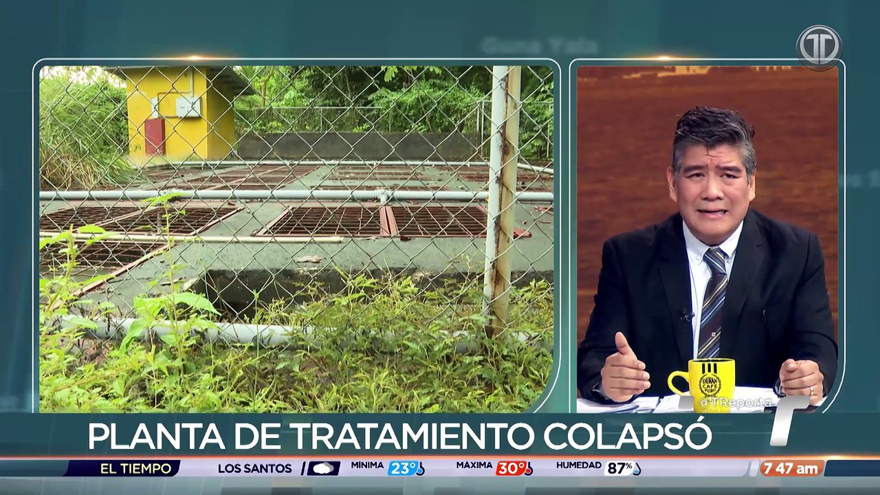 BOLIVAR SANCHEZ.mp4