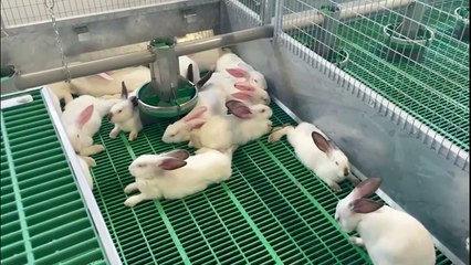 "C'est une demande sociétale et bientôt réglementaire