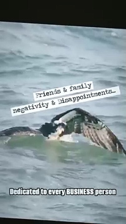 dedicated to every business person