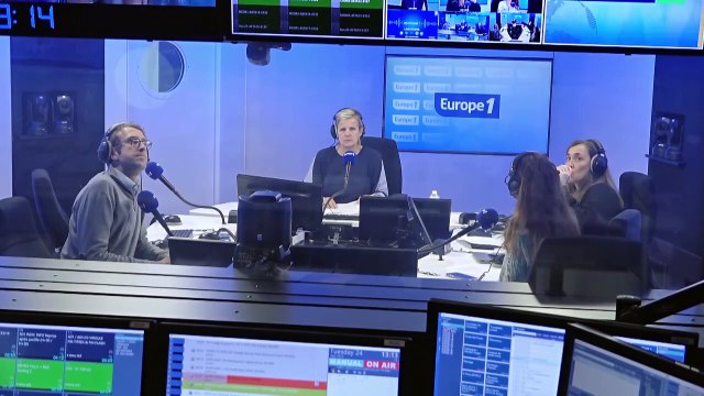 Côtes-d'Armor : attaque meurtrière de frelons asiatiques