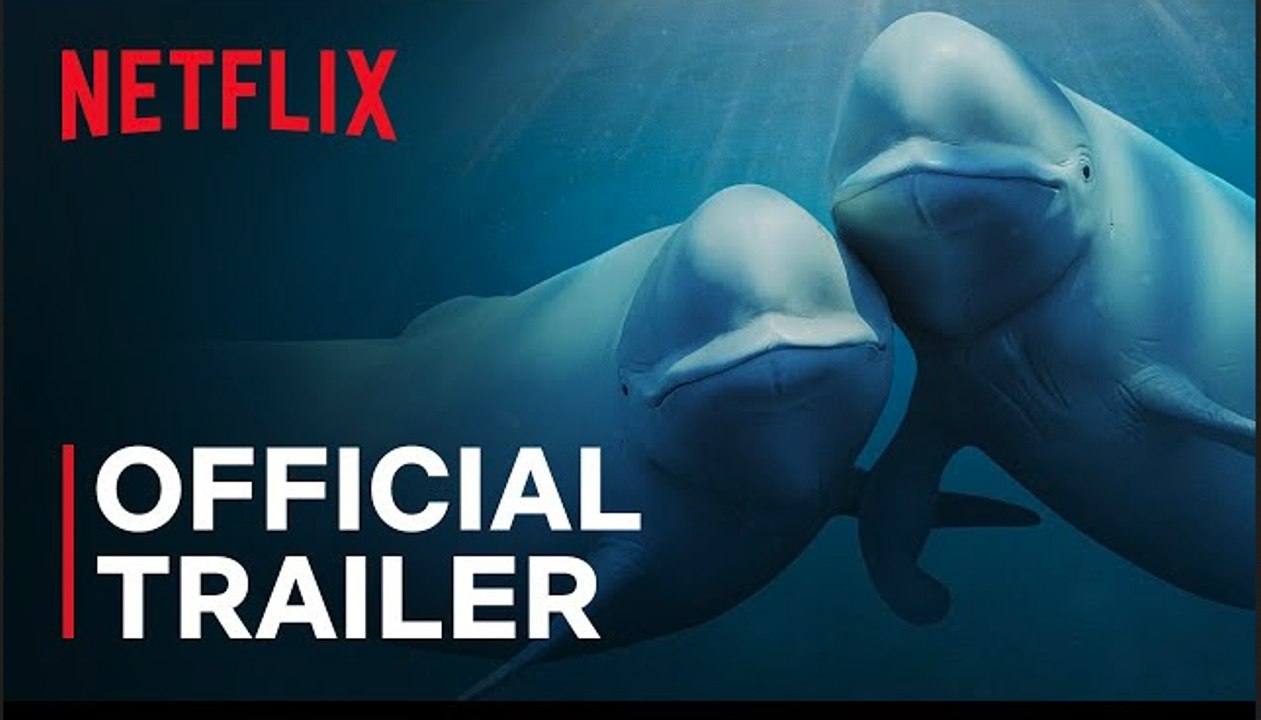 Our Oceans | Official Trailer - Barack Obama - Netflix