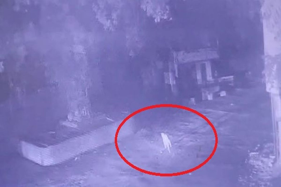 Watch Video : यहां एक महीने में चौथी बार पैंथर की मूवमेंट, सीसीटीवी कैमरे में बस स्टैंड पर भागता दिखा लेपर्ड