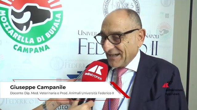 Campanile (docente Federico II di Napoli): “Il latte di bufala, un elisir di longevità e con poteri antiossidanti