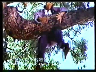 Gambler and His Kung Fu Master (1981)