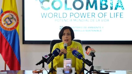 ¿Cómo avanza la organización de la COP16 en Cali?: habla ministra de Ambiente