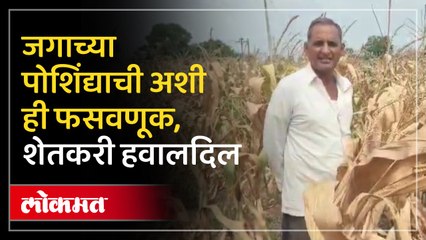 कृषी बी बियाण्याच्या मार्फत आता शेतकऱ्यांची फसवणूक शासन आता तरी शेतकऱ्यांकडे लक्ष देणार का?