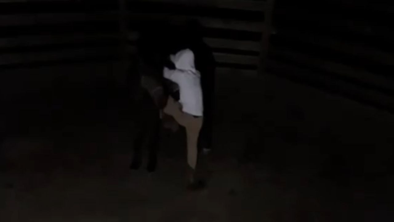 Horse's restless behavior results in a rider's sudden fall to the ground