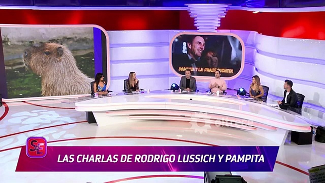 El problema que aqueja a Pampita en medio de su separación de Roberto García Moritán