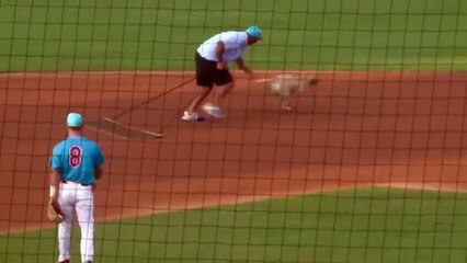 Ce chien ne fait pas que interrompre le match !