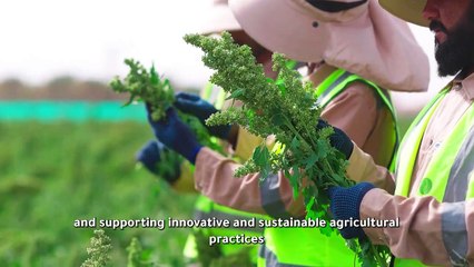 Watch: In a first, UAE launches trials to cultivate quinoa, promote food security