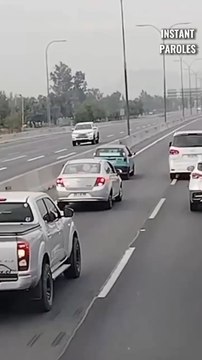 Ces conducteurs se coordonnent pour sortir un chien coincé au milieu de l’autoroute