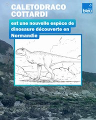 Sur les traces du dinosaure de Saint-Jouin-Bruneval