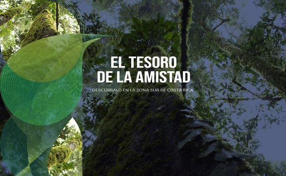 Reportaje El Tesoro de la Amistad : Parque Nacional La Amistad | Trece Noticias 24 Set 2024