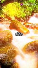 invideo-ai-1080 Descubra a Paz Interior com Sons Binaura 2024-09-12