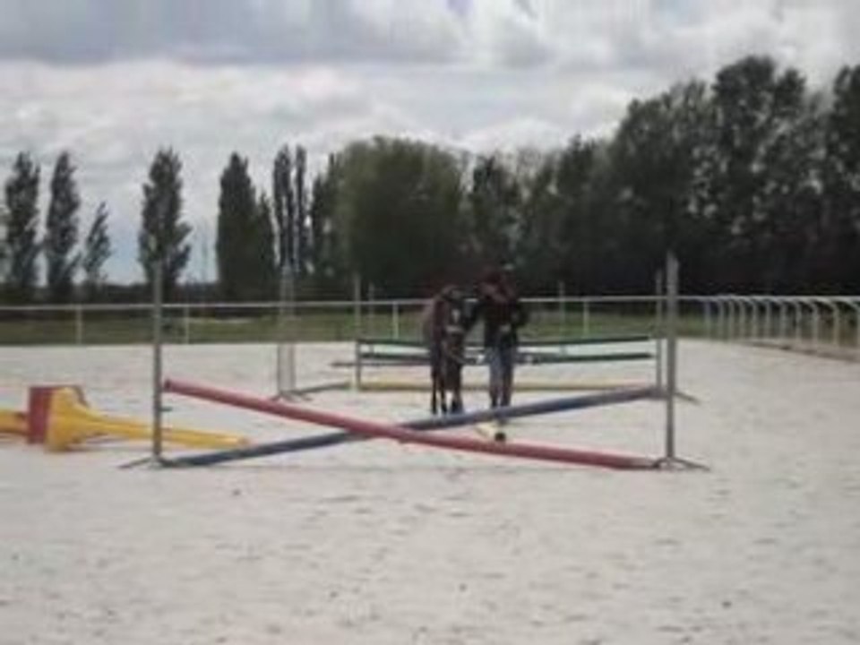 Séance en longe sur plat