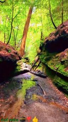 میں نے آنحضرت ﷺ کے لیے ( غسل کا ) پانی رکھا