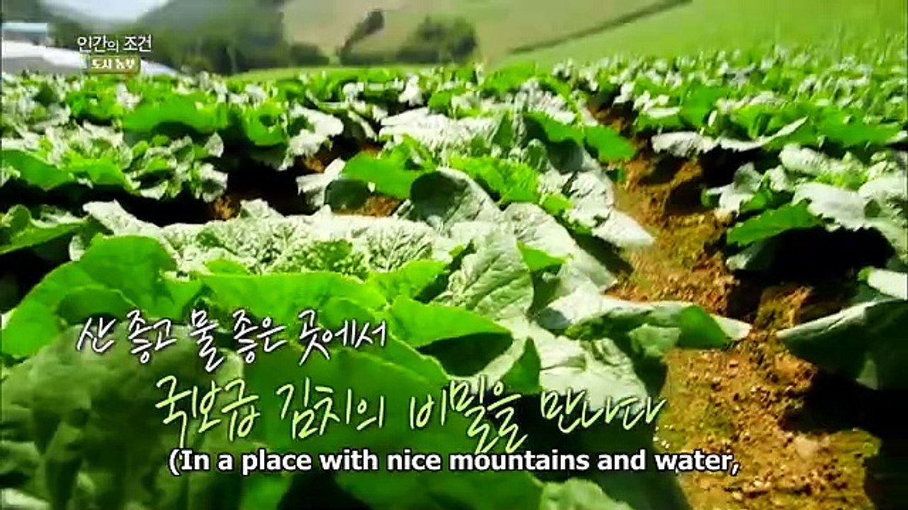 The Human Condition S3 - 인간의 조건 S3 - E3