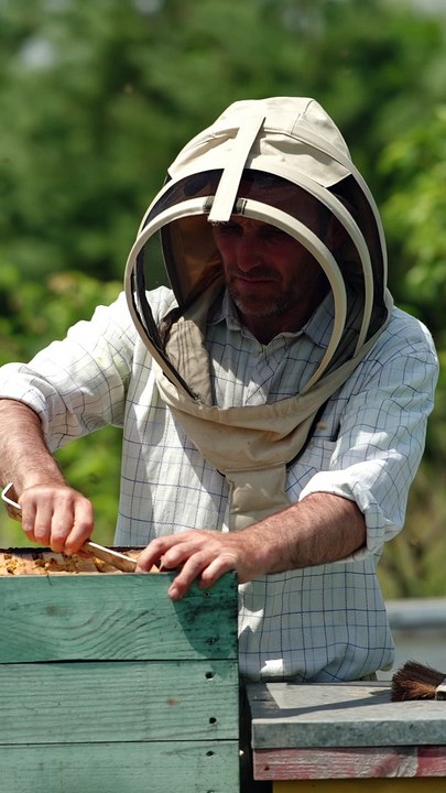 Apiary farmer takes a frame out of hive and looks at it carefully. Dark frame with half-sealed honey cells in man's hands. Nature backdrop on sunny day