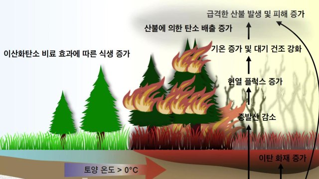 지구온난화 가속화에... 북극 산불 피해 늘어날 것 / YTN