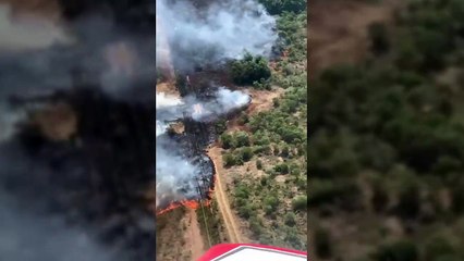 Avião contratado pelo Governo do Paraná combate incêndio em Palmeira