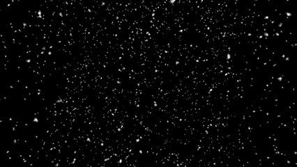 O que é o Luto e Como Ele Afeta as Pessoas