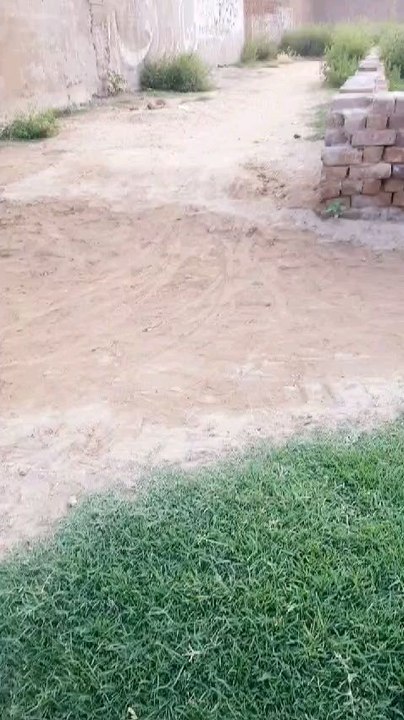 Ecco il mio ultimo video
