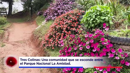 El Tesoro de la Amistad parte 2