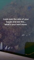 You look over the side of your kayak and see this.