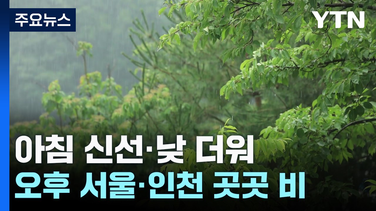 [날씨]선선한 출근길, 남부 짙은 안개...한낮 예년보다 더워 / YTN