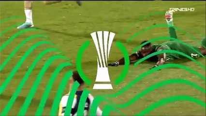 PFC Ludogorets vs. Fenerbahçe SK 2023-2024  9 Kasım 2023