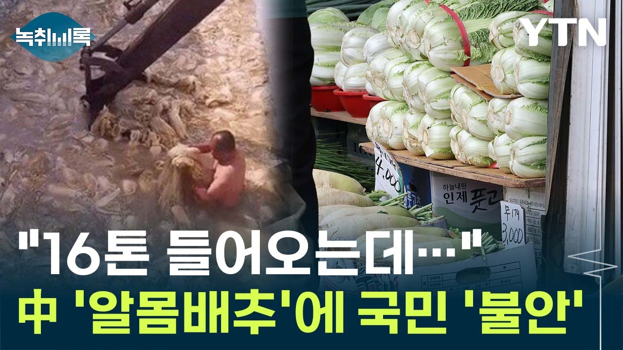 [Y녹취록] 中 '알몸배추'에 국민 '불안'...위기 닥친 국내산 배추 / YTN
