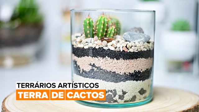 Terrários Artísticos: Terra de cactos