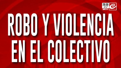 Robo y violencia en el colectivo: atacaron a chofer con un machete