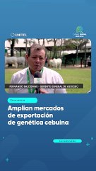 Amplían mercados de exportación de genética cebuina