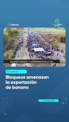 Bloqueos amenazan la exportación de banano