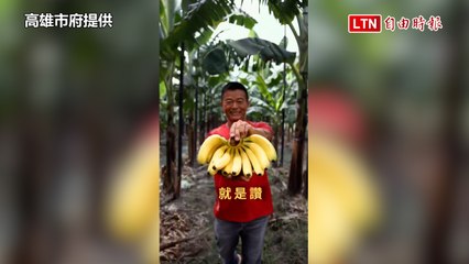 高雄旗山香蕉文化節9/28、29登場 最大獎香蕉猴金飾值1萬元(高雄市府提供)