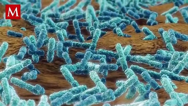 Más de 39 millones de personas podrían morir en los próximos 25 años a causa de antibióticos