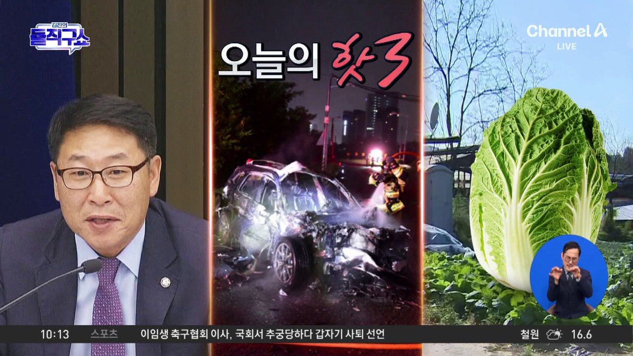 [핫3]‘金 배추’ 쇼크…정부, 중국산 배추 수입 결정