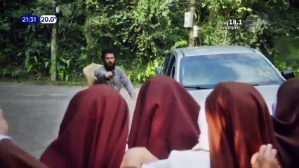 152. Tierra de Deseos (Terra e Paixao), en español